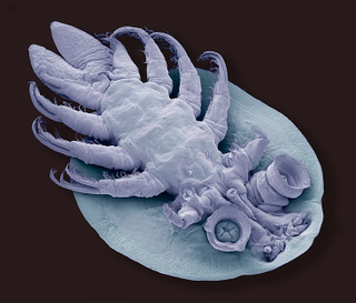 Illustration for article titled Las fotos de naturaleza más espectaculares de 2015